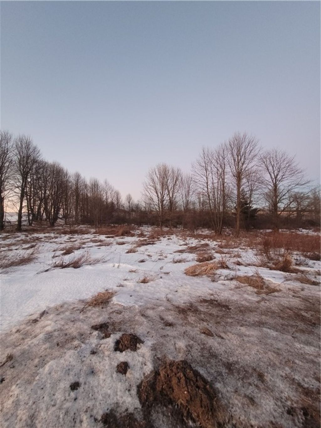 Photo of 0 County Hwy B Lot 1, Neillsville, WI 54456 (MLS # 1597934)