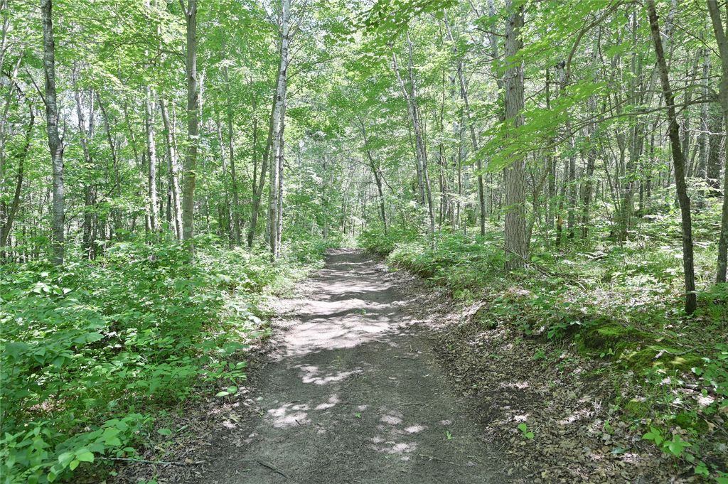 Photo of 9036 Ashtons Way, Webster, WI 54893 (MLS # 1599690)