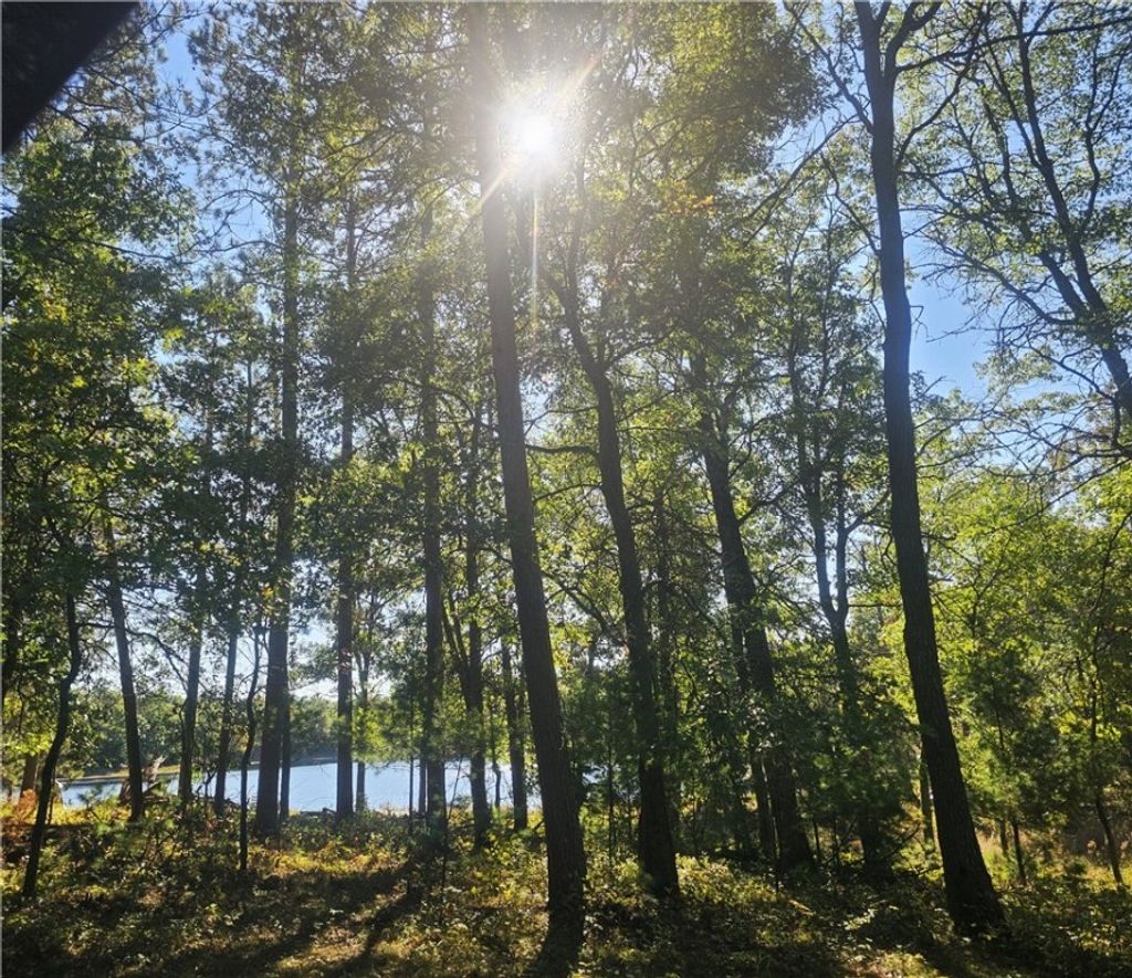 Photo of xxx County Road H Road, Danbury, WI 54830 (MLS # 1596238)