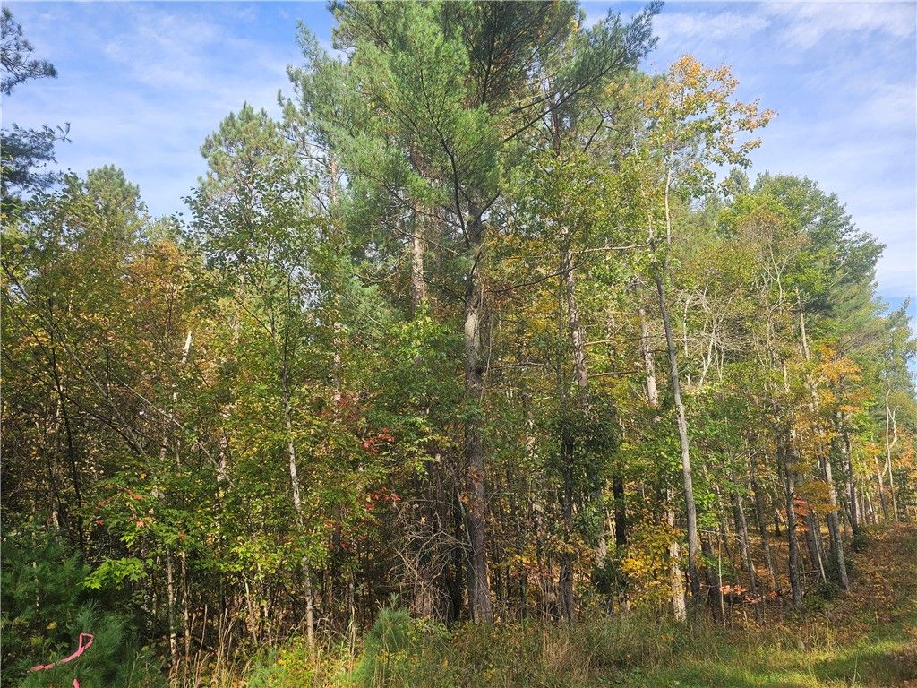 Photo of xxx County Road H Road, Danbury, WI 54830 (MLS # 1596238)