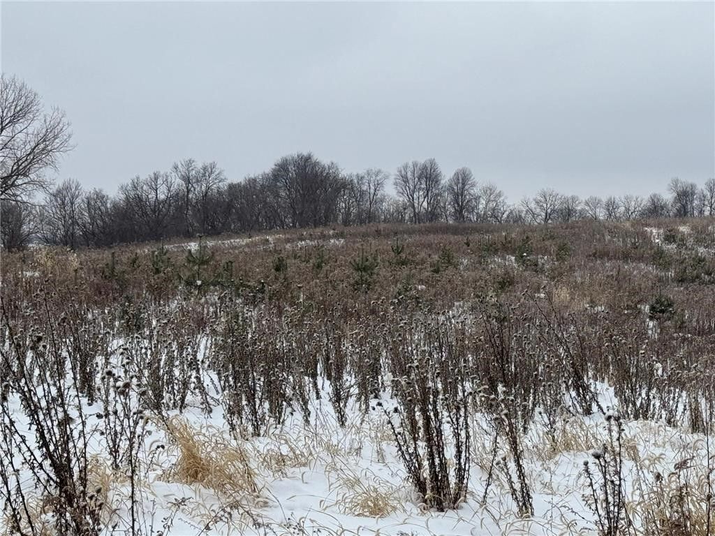 Photo of 0 Hollow Road, Alma, WI 54610 (MLS # 1597690)