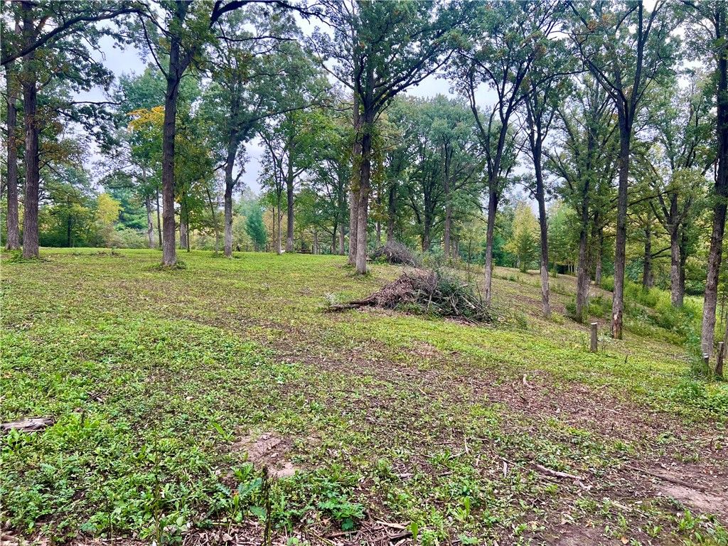 Photo of Lot 28 21st Street, Rice Lake, WI 54868 (MLS # 1595595)