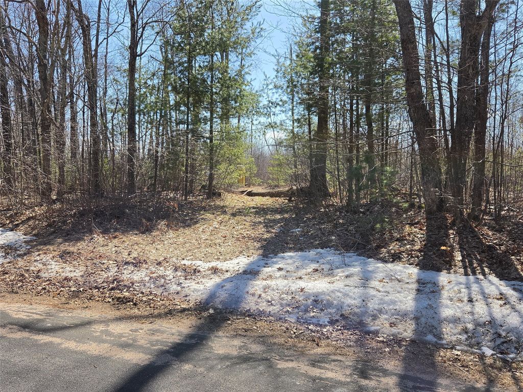 Photo of Lot 1 W South Shore Rd, Hayward, WI 54843 (MLS # 1599896)