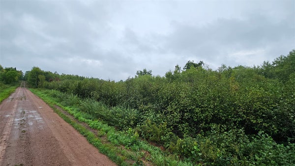 ANDERSON LN, CABLE, WI 54821 - Image 9aa4d7b6458efef2dc0ee1512e50f134/924571409