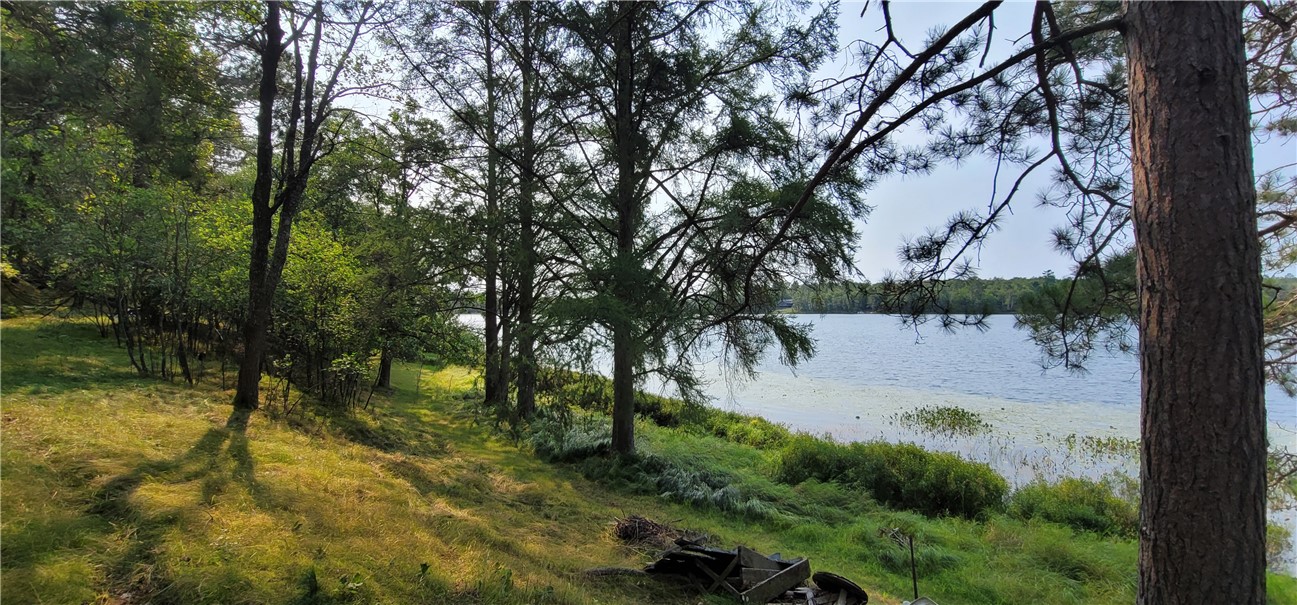 52040 & 52030 Robinson Lake Road