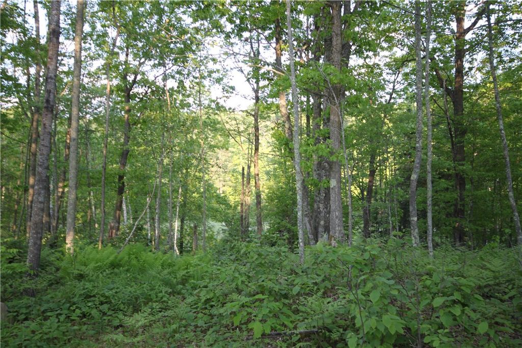 Photo of Lot 2 Timber Wolf Drive, Springbrook, WI 54875 (MLS # 1596739)