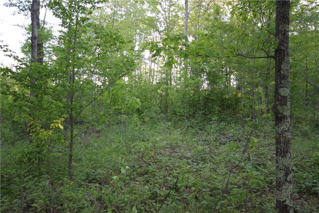 Photo of Lot 2 Timber Wolf Drive, Springbrook, WI 54875 (MLS # 1596739)
