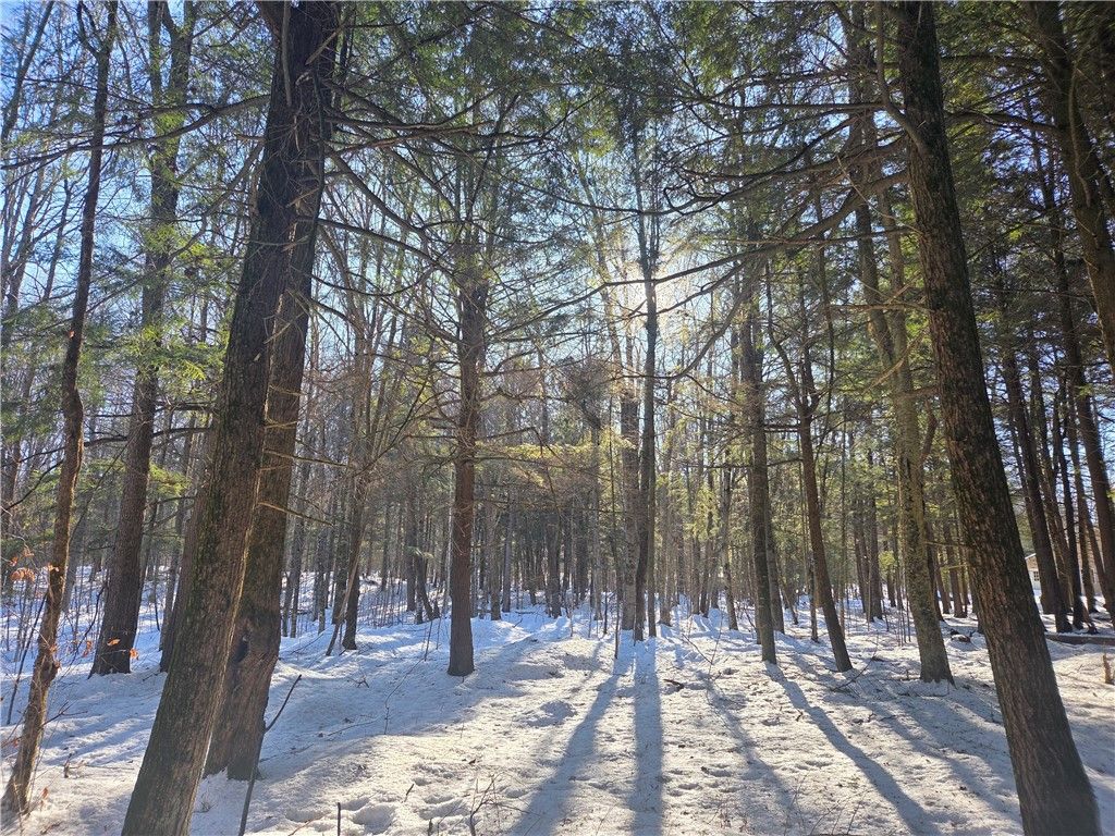 Photo of 15089 367th Street, Stanley, WI 54768 (MLS # 1597884)