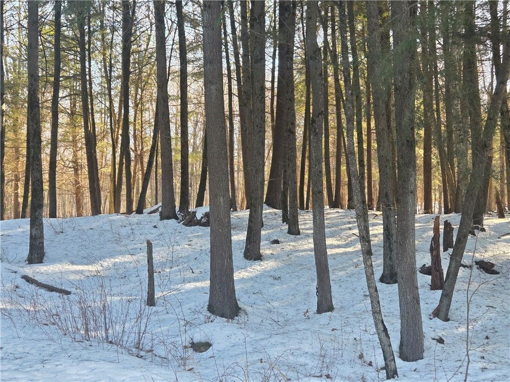 Photo of 15089 367th Street, Stanley, WI 54768 (MLS # 1597884)