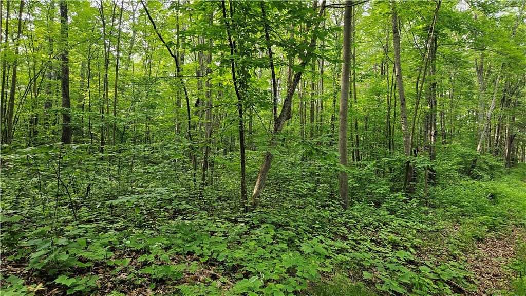 Photo of Lots 17-32 Indian Drive, Hayward, WI 54843 (MLS # 1592563)