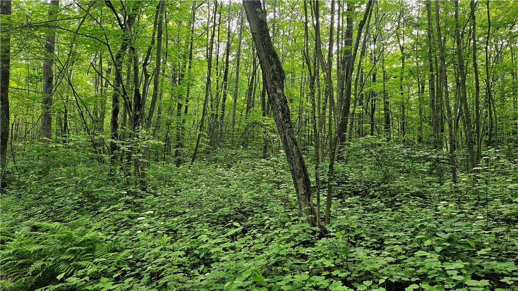 Photo of Lots 17-32 Indian Drive, Hayward, WI 54843 (MLS # 1592563)