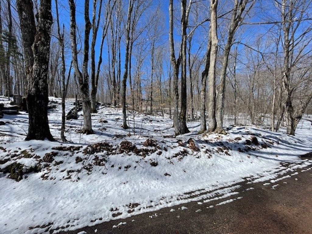 Photo of Lots 54 &amp; 55 Wolf Island Road, Hayward, WI 54843 (MLS # 1599634)