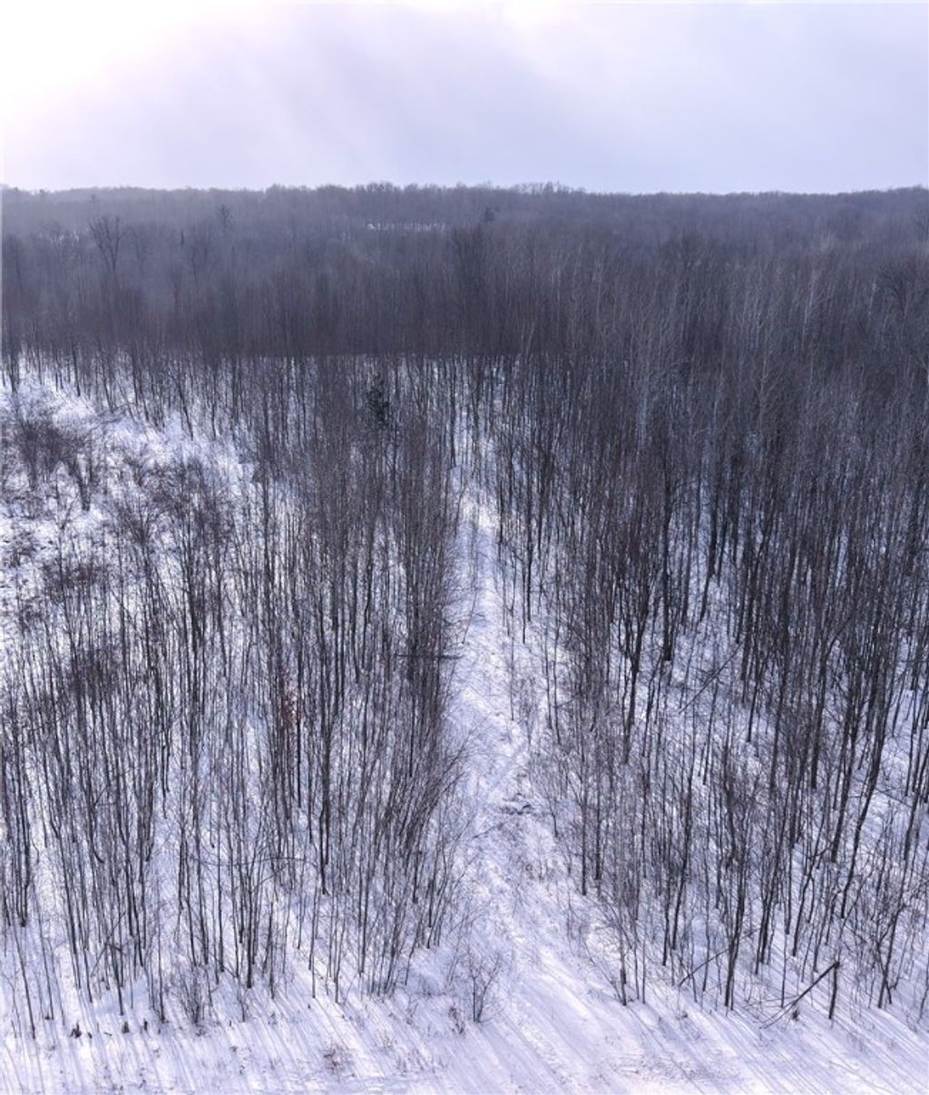 Photo of 00 155th Ave, Boyd, WI 54726 (MLS # 1598015)