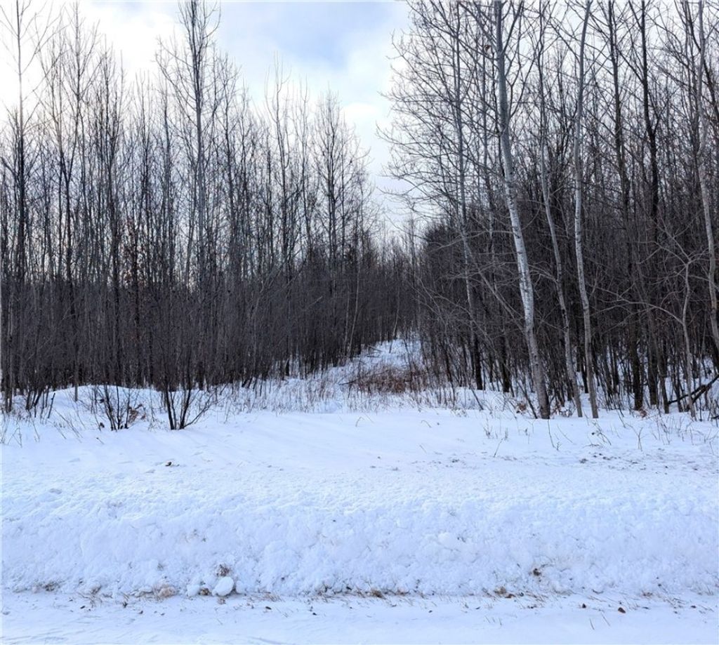 Photo of 00 155th Ave, Boyd, WI 54726 (MLS # 1598015)