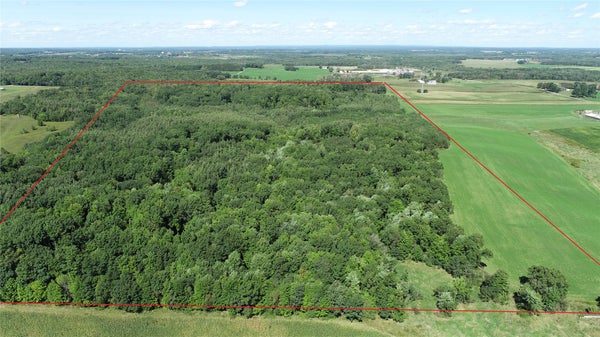 0 220TH AVENUE, BLOOMER, WI 54724 - Image a41fd4f6dbfacbfeb5dc5779cd774ed1/3690818596
