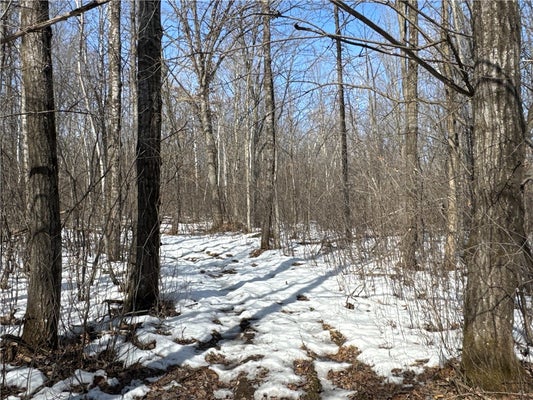 27 11TH ST, BARRON, WI 54812 - Image a69796c6d7fb08da5ea23df2a5e8d601/4128528379
