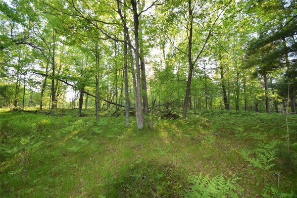 ASPEN HILL TRAIL WAY, WEBSTER, WI 54893 - Image a9701495c28e3566bf2e7640e5a1bc18/3320947189