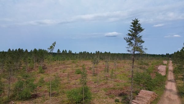 2080 TOMAHAWK LAKE RD, SOLON SPRINGS, WI 54873 - Image acff7a68e5bcaa88aef1fc3a4e7a4d24/2831254556