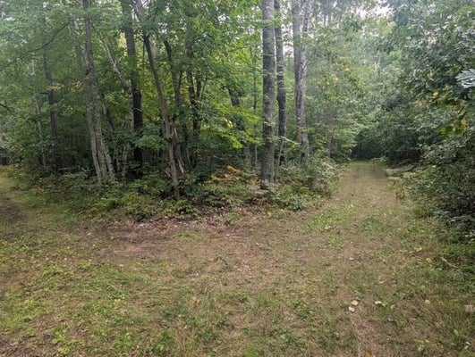 ADDRESS PRIVATE, TREGO, WI 54888 - Image ad6b4025eab03a4396bdea4c7ea5c44a/584529092