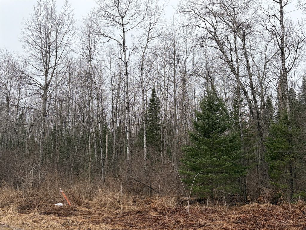 Photo of ON N Old Couderay Road, Couderay, WI 54828 (MLS # 1599293)