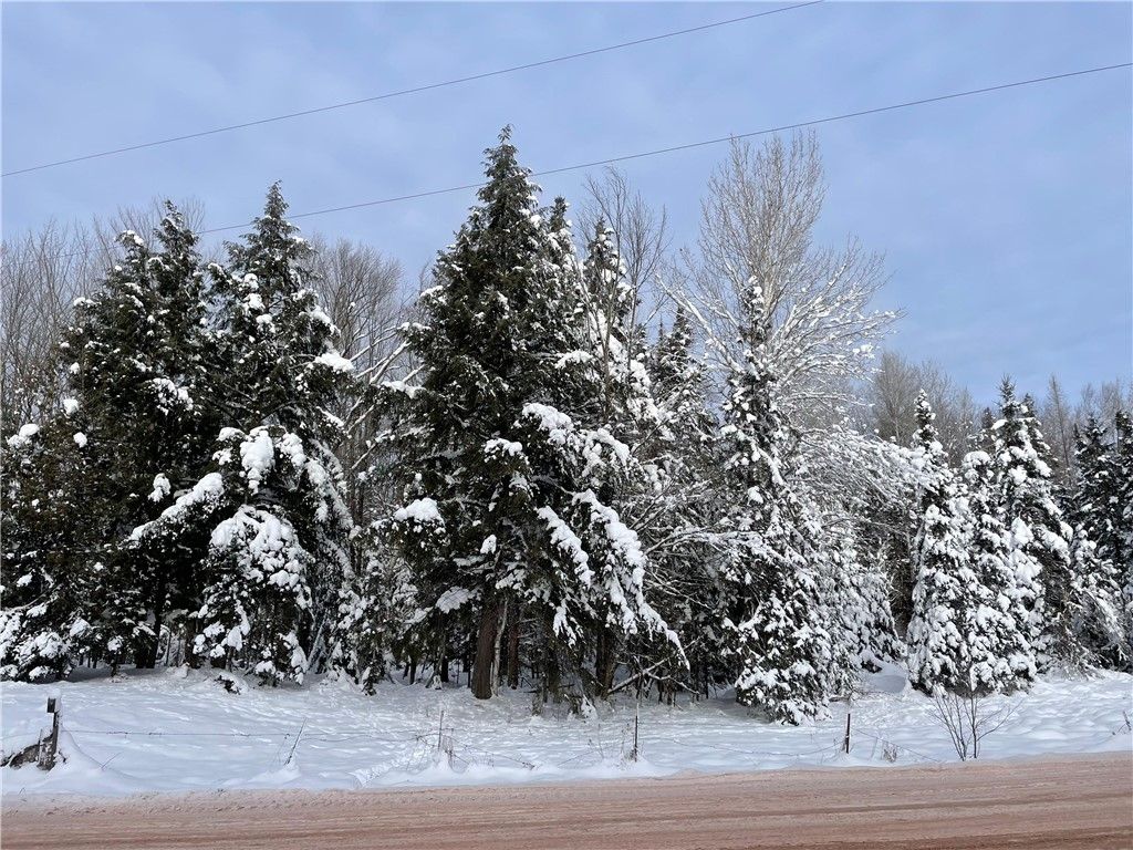 Photo of 20 +/- Acres County Hwy F, Butternut, WI 54514 (MLS # 1597417)