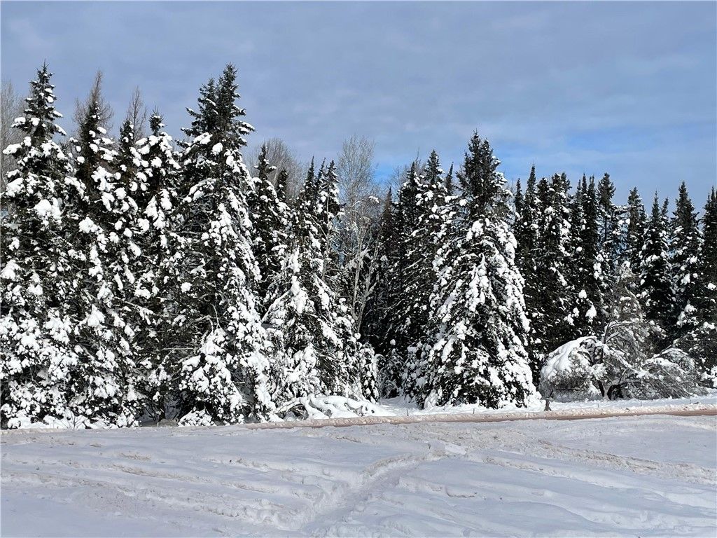 Photo of 20 +/- Acres County Hwy F, Butternut, WI 54514 (MLS # 1597417)