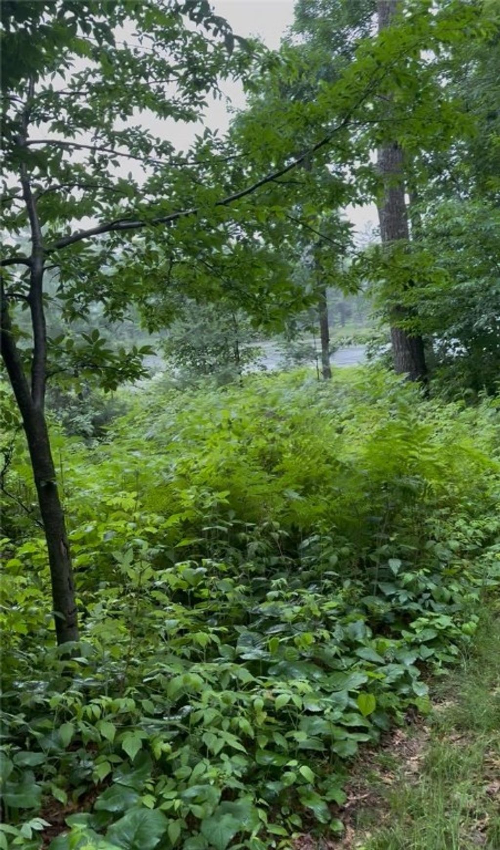 Photo of 56 11 1/8 Avenue, Cameron, WI 54822 (MLS # 1596640)