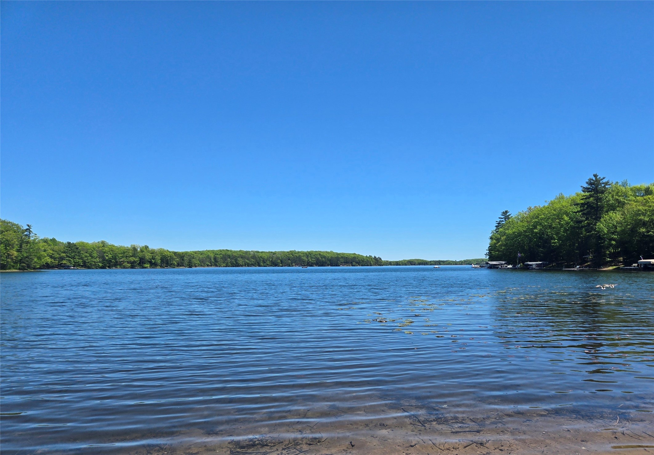 Photo 1 of 13 — Lot 1 Linden Road, Hayward, WI 54843