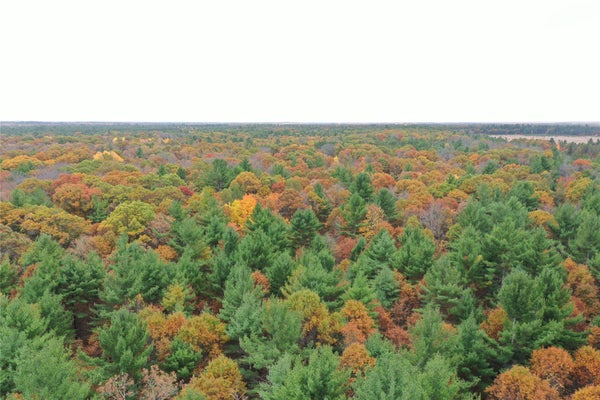 ADDRESS PRIVATE, GRANTSBURG, WI  - Image b1b4e01dddfdc24d377deeea85834726/1020958823
