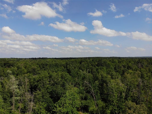 S11305 KEMPTON RD, AUGUSTA, WI 54722 - Image b588462b2dc33e8e8d0cdcb804d6605c/1230873202