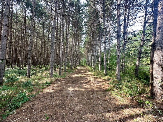 N9679 630TH ST, COLFAX, WI 54730 - Image b6b4193a8ccb4f13da2c738f06c4ea5e/609249534
