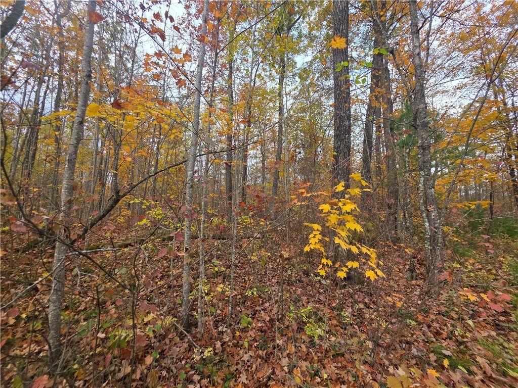 Photo of Lot 18 N Tanglewood Parkway, Hayward, WI 54843 (MLS # 1590236)