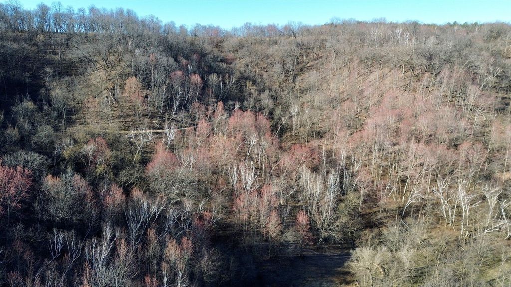 Photo of N3430 County Road II, Bangor, WI 54614 (MLS # 1599877)