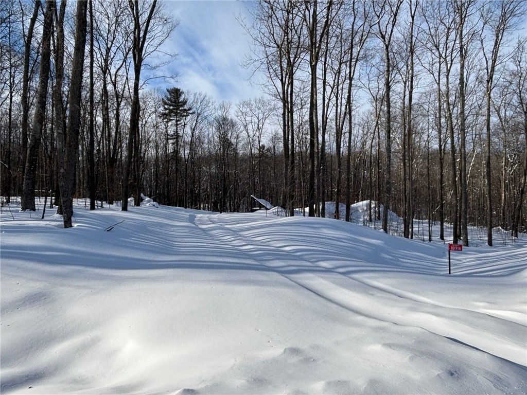 Photo of 10191N Hardwood Hills Drive, Hayward, WI 54843 (MLS # 1597948)