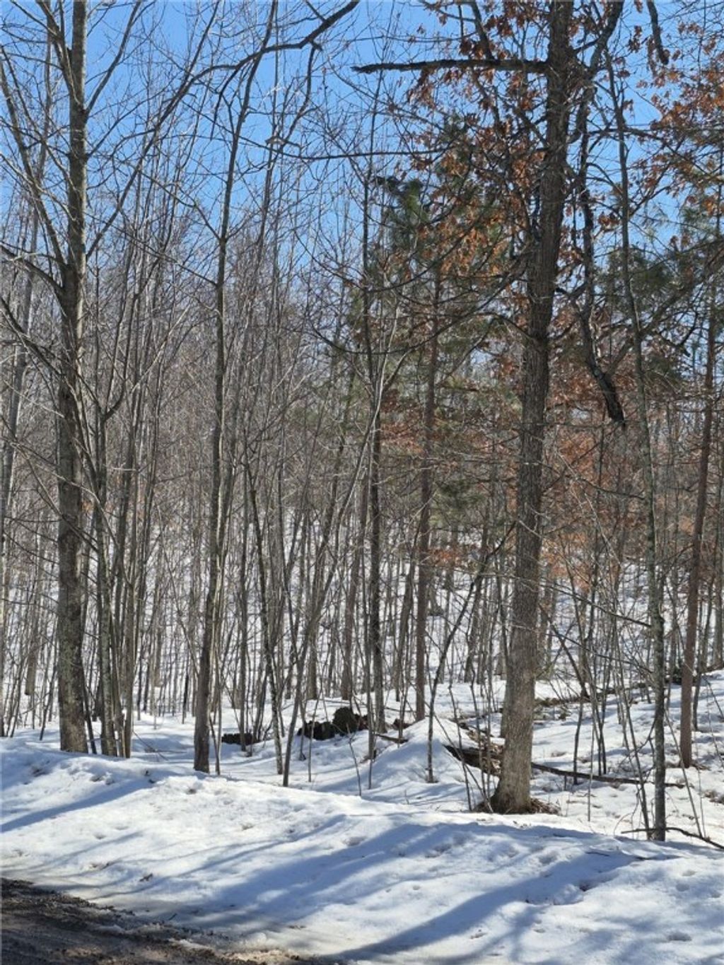 Photo of Lots 10 &amp; 11 Wintergreen Trail, Danbury, WI 54830 (MLS # 1598910)