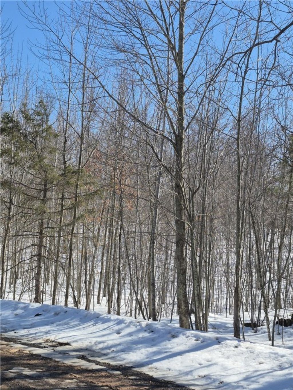 Photo of Lots 10 &amp; 11 Wintergreen Trail, Danbury, WI 54830 (MLS # 1598910)