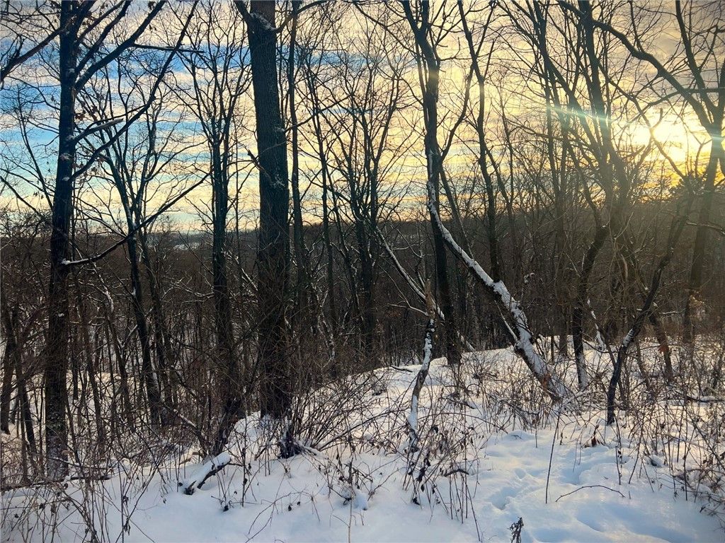 Photo of 0 D Highway, Melrose, WI 54642 (MLS # 1597995)