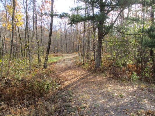 ADDRESS PRIVATE, BIRCHWOOD, WI  - Image bf50282ec2d329fc709a5b01c495e23c/1722018167