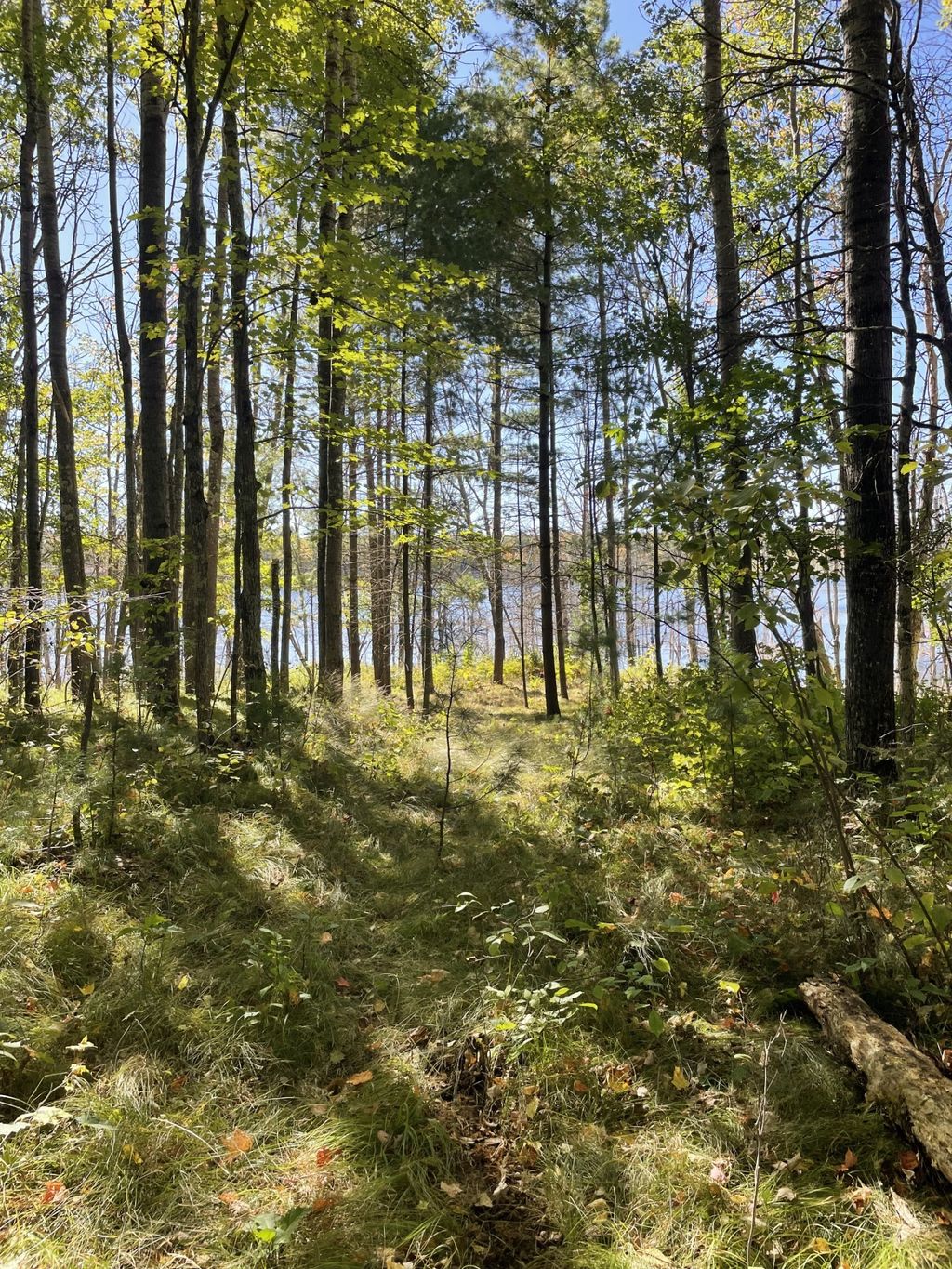 Photo of 10385 Whispering Pines Road, Drummond, WI 54832 (MLS # 1599943)