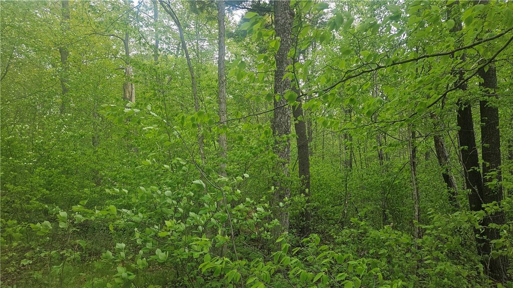 Photo of Lot 3 Buckeye Lane, Stone Lake, WI 54876 (MLS # 1591844)