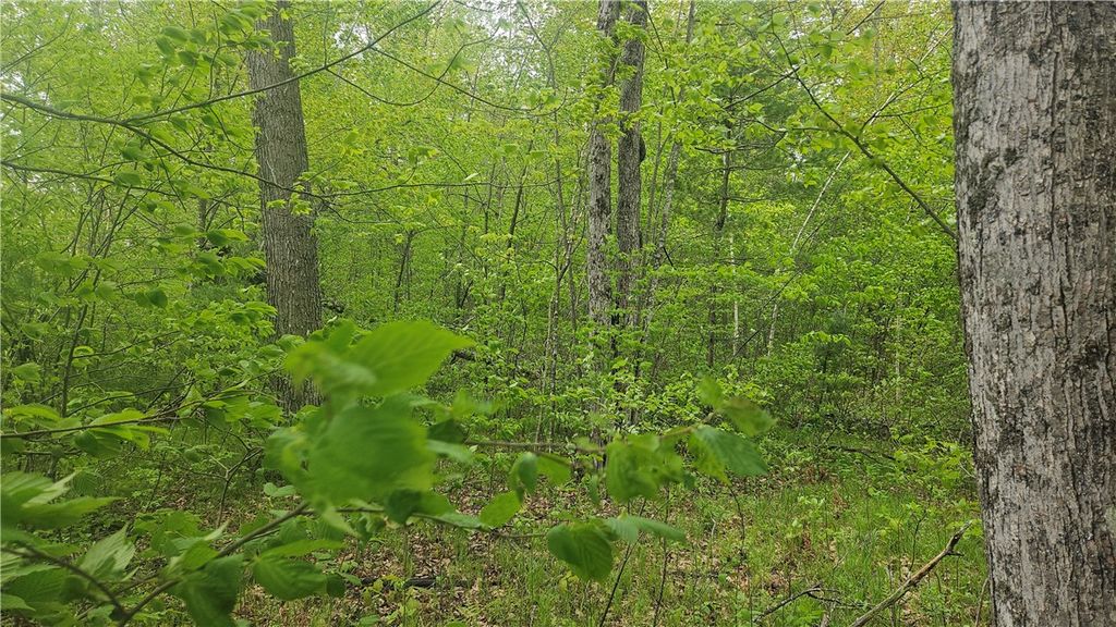 Photo of Lot 3 Buckeye Lane, Stone Lake, WI 54876 (MLS # 1591844)