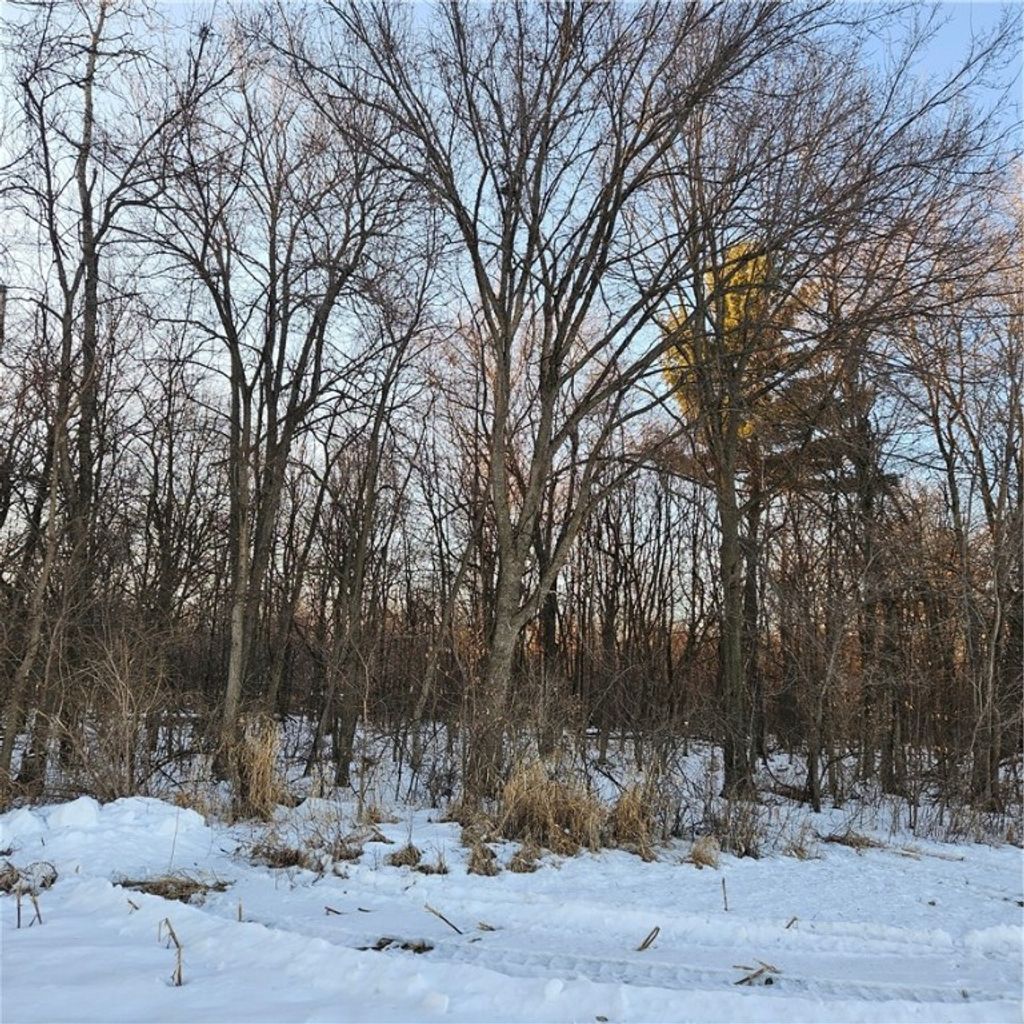 Photo of XXX County Rd DD, Eau Galle, WI 54737 (MLS # 1597854)