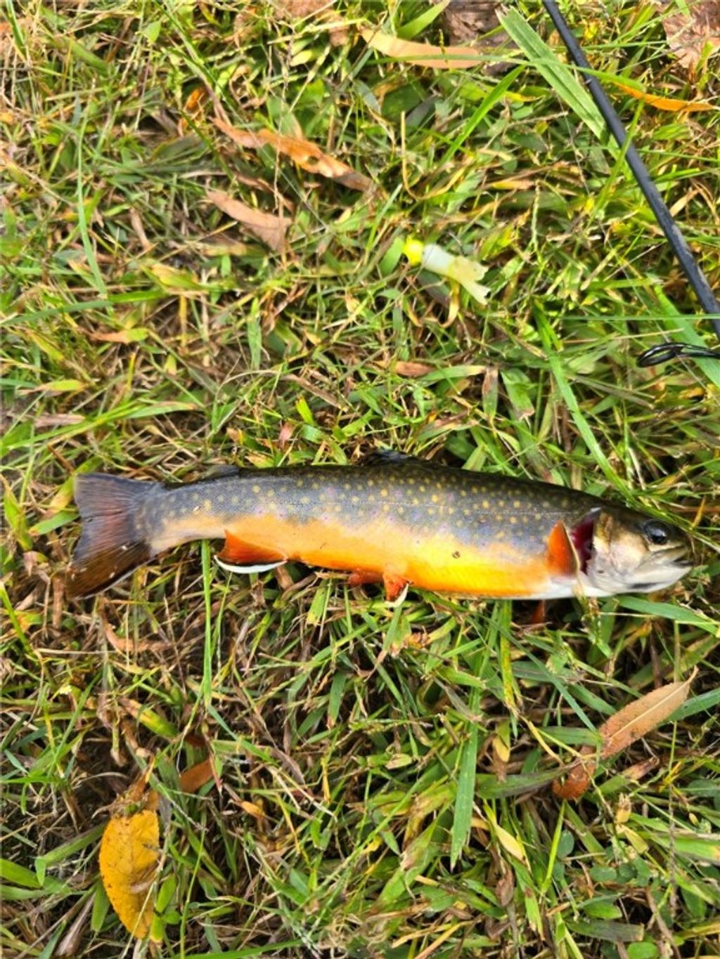 Photo of 0 County Hwy M, New Auburn, WI 54757 (MLS # 1597878)