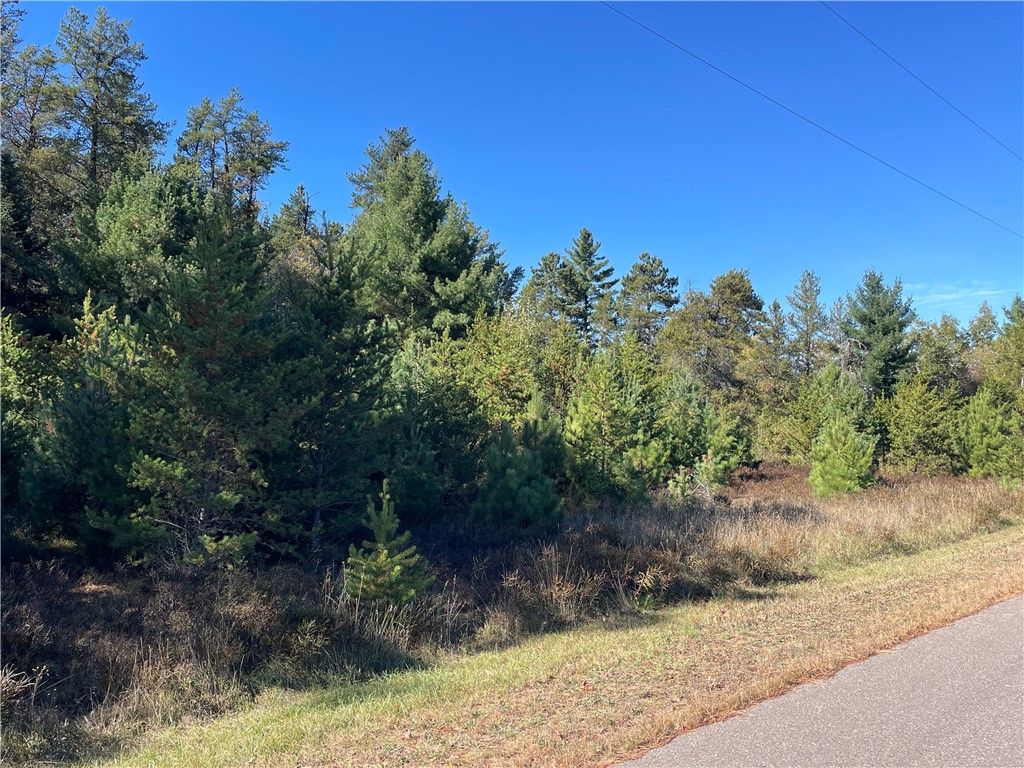 Photo of 0 Heinz Road, Hayward, WI 54843 (MLS # 1596413)