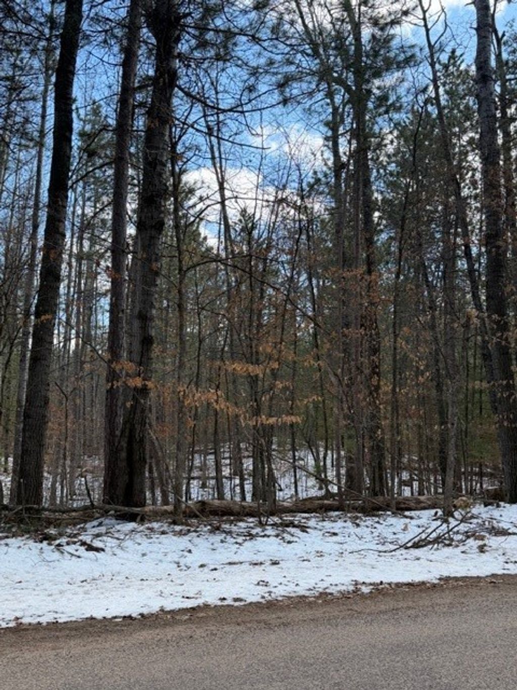 Photo of TBD E Long Lake Road, Danbury, WI 54830 (MLS # 1599847)