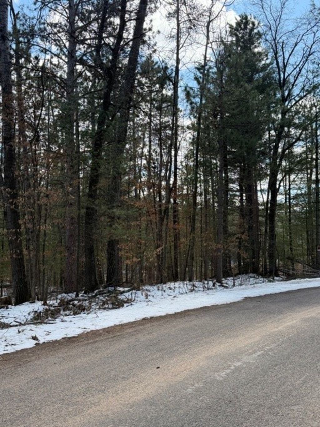 Photo of TBD E Long Lake Road, Danbury, WI 54830 (MLS # 1599847)