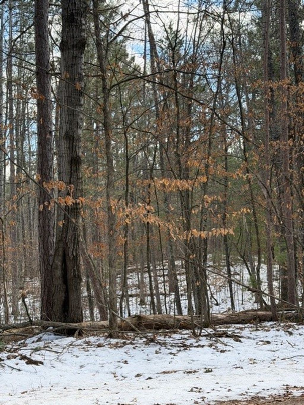 Photo of TBD E Long Lake Road, Danbury, WI 54830 (MLS # 1599847)