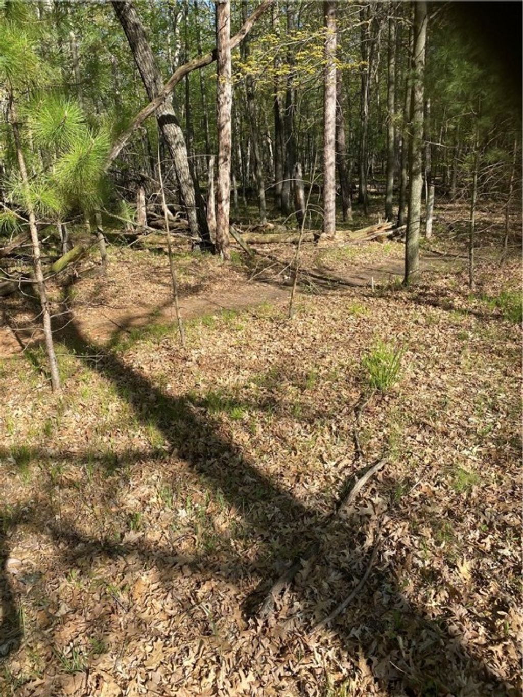 Photo of Lot 25 Thunderbird Way, Danbury, WI 54830 (MLS # 1597325)