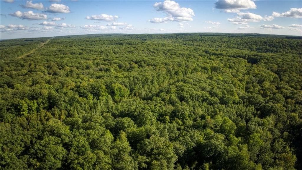 Photo of Block 8 Comet Road, Exeland, WI 54835 (MLS # 1597558)