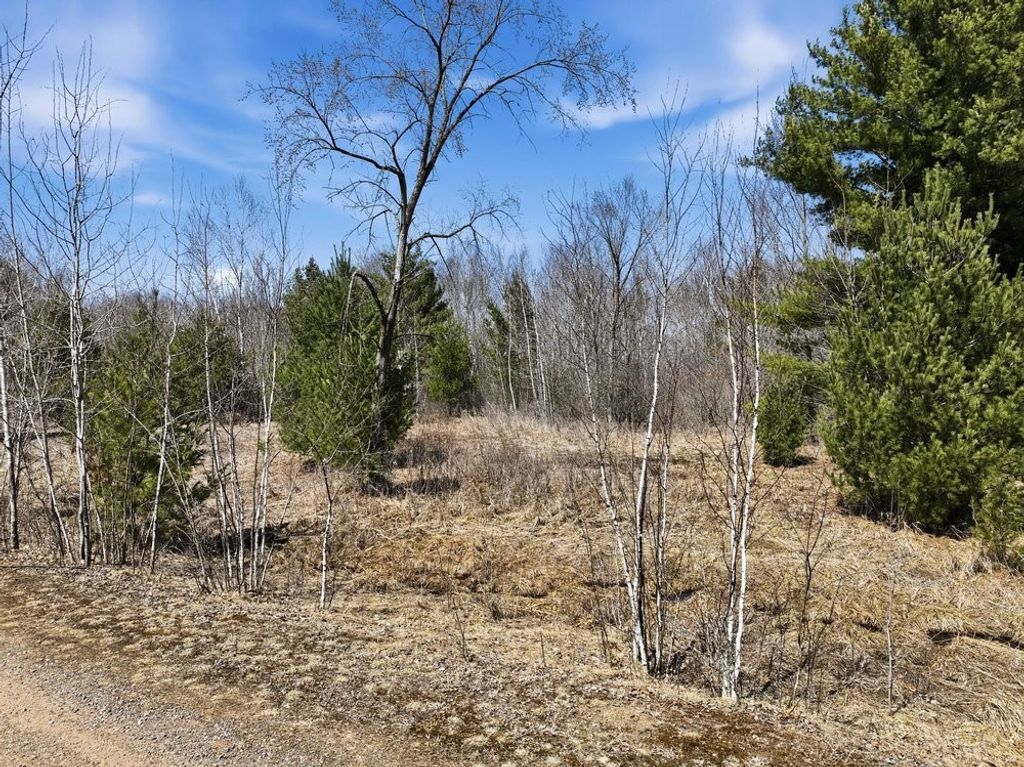 Photo of Lot 13 10 1/4 Avenue, Chetek, WI 54728 (MLS # 1599978)